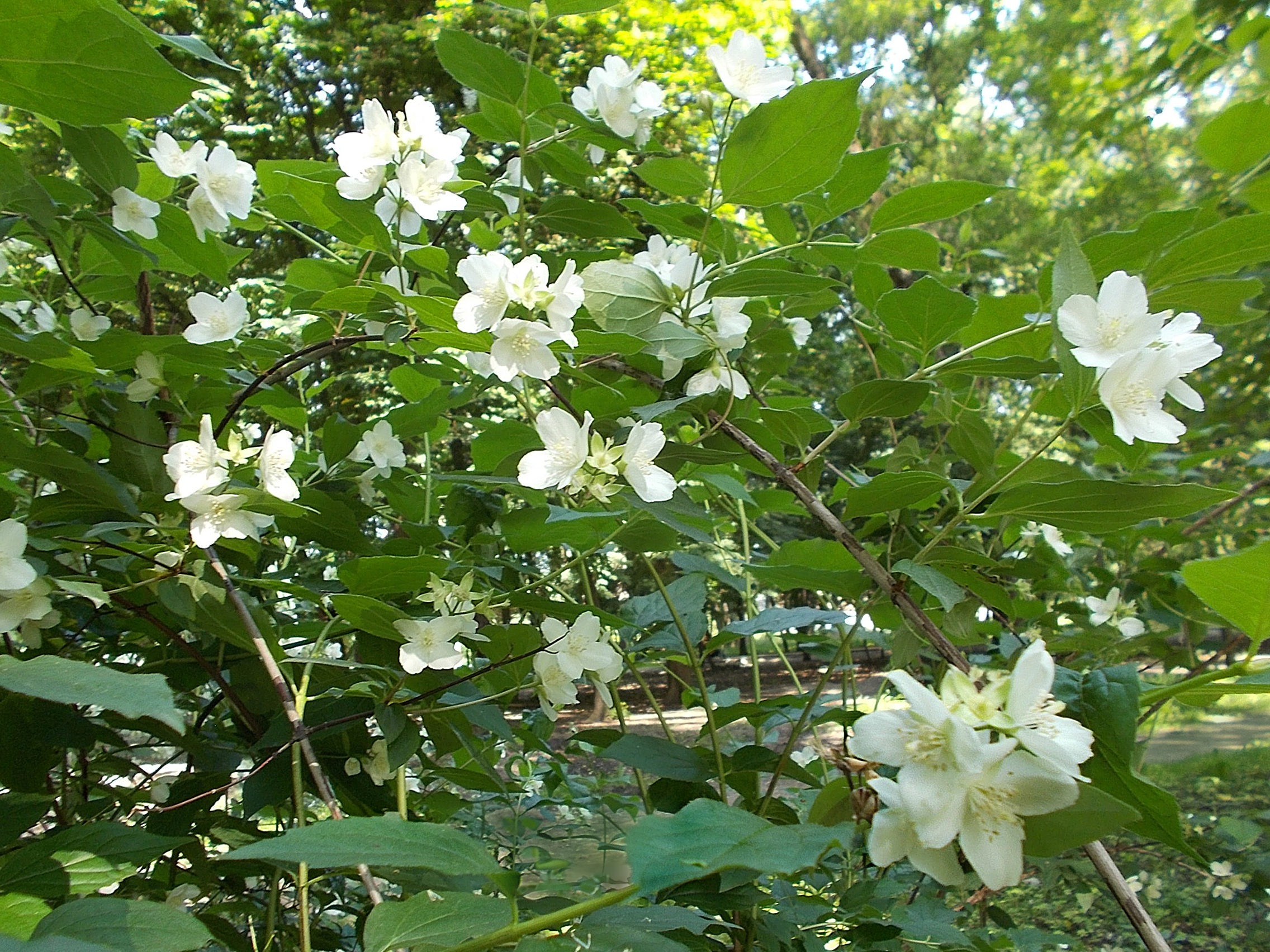 https://forumupload.ru/uploads/001b/e5/71/3/719740.jpg