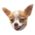 https://forumupload.ru/uploads/001b/f7/65/3/261447.png