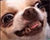https://forumupload.ru/uploads/001c/03/d9/220/75090.png