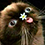 https://forumupload.ru/uploads/001c/0b/06/5/98979.png
