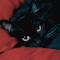 https://forumupload.ru/uploads/001c/0b/06/50/810547.png