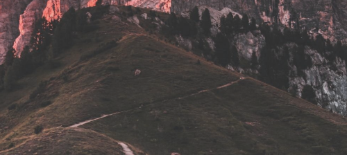 https://forumupload.ru/uploads/001c/10/53/2/152715.png