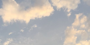 https://forumupload.ru/uploads/001c/10/53/2/183395.png