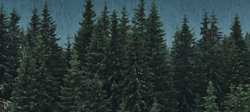 https://forumupload.ru/uploads/001c/10/53/2/72313.png