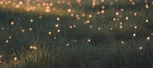 https://forumupload.ru/uploads/001c/10/53/2/873299.png