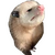 https://forumupload.ru/uploads/001c/14/5b/7/140364.png
