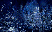 https://forumupload.ru/uploads/001c/16/ee/125/323687.gif
