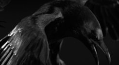https://forumupload.ru/uploads/001c/16/ee/192/261088.gif