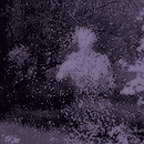 https://forumupload.ru/uploads/001c/16/ee/2/490652.gif