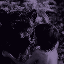 https://forumupload.ru/uploads/001c/16/ee/2/938748.gif