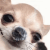 https://forumupload.ru/uploads/001c/23/e3/9/176029.gif