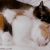 https://forumupload.ru/uploads/001c/23/e3/9/232833.gif