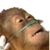 https://forumupload.ru/uploads/001c/25/14/2/448349.png