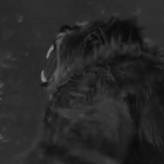https://forumupload.ru/uploads/001c/2b/59/6/757009.gif