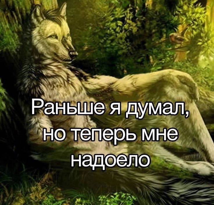 https://forumupload.ru/uploads/001c/2f/b2/190/166744.jpg