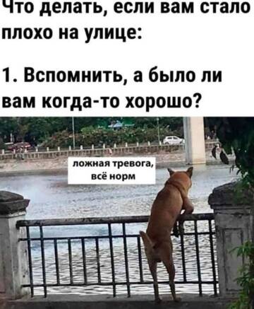 https://forumupload.ru/uploads/001c/2f/b2/49/t766019.jpg