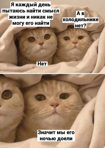 https://forumupload.ru/uploads/001c/2f/b2/92/t439796.jpg
