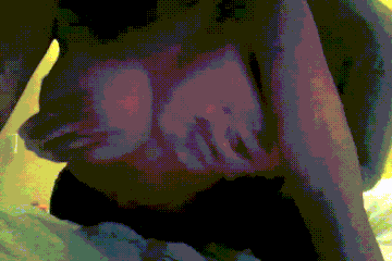 https://forumupload.ru/uploads/001c/34/95/4/t644314.gif