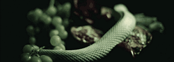 https://forumupload.ru/uploads/001c/3d/c8/30/834542.gif