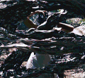 https://forumupload.ru/uploads/001c/52/36/211/t565165.gif