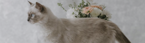 https://forumupload.ru/uploads/001c/55/b9/144/584800.png