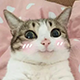 https://forumupload.ru/uploads/001c/55/b9/2/419542.png