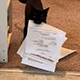 https://forumupload.ru/uploads/001c/55/b9/2/464646.gif