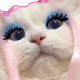 https://forumupload.ru/uploads/001c/55/b9/2/472065.gif