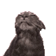 https://forumupload.ru/uploads/001c/55/b9/2/479226.gif