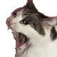 https://forumupload.ru/uploads/001c/55/b9/2/55178.gif