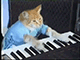 https://forumupload.ru/uploads/001c/55/b9/2/652857.gif