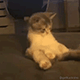 https://forumupload.ru/uploads/001c/55/b9/2/70988.gif