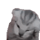 https://forumupload.ru/uploads/001c/55/b9/2/803985.gif