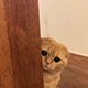 https://forumupload.ru/uploads/001c/55/b9/2/814114.png
