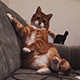 https://forumupload.ru/uploads/001c/55/b9/2/816617.gif