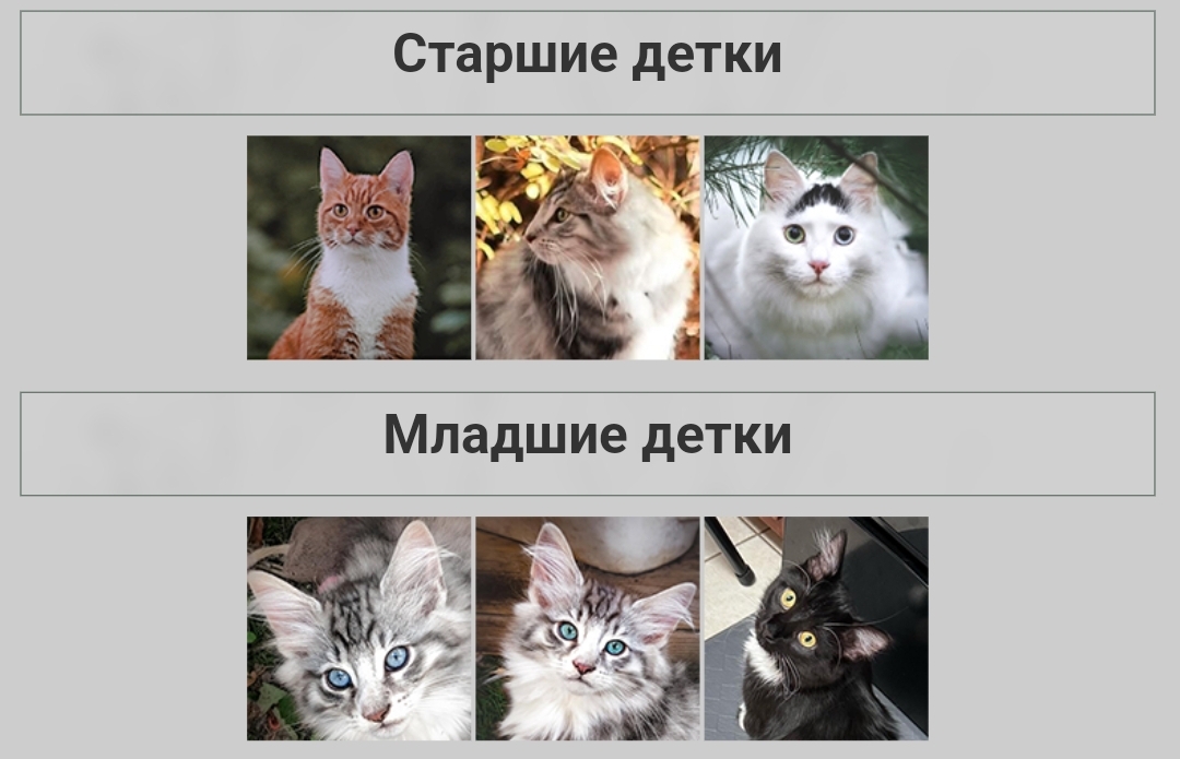 https://forumupload.ru/uploads/001c/55/b9/31/224942.jpg