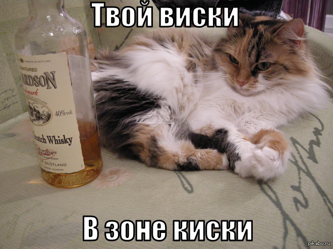 https://forumupload.ru/uploads/001c/55/b9/31/340261.jpg