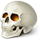https://forumupload.ru/uploads/001c/56/a9/2/257388.png