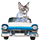 https://forumupload.ru/uploads/001c/56/a9/5/544369.gif
