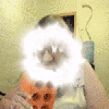 https://forumupload.ru/uploads/001c/58/e1/5/t655481.gif