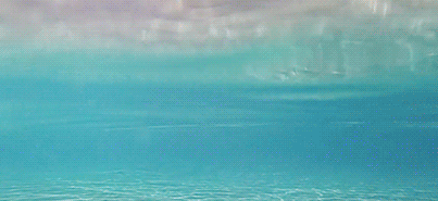 https://forumupload.ru/uploads/001c/5b/cc/3/212388.gif