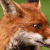 https://forumupload.ru/uploads/001c/5b/cc/6/t552764.gif