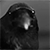 https://forumupload.ru/uploads/001c/5b/cc/7/609347.gif
