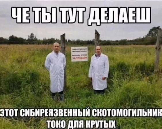 https://forumupload.ru/uploads/001c/5c/a8/25/881780.jpg