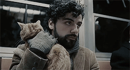 https://forumupload.ru/uploads/001c/64/37/73/637197.gif