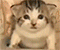 https://forumupload.ru/uploads/001c/6a/ec/5/951720.gif