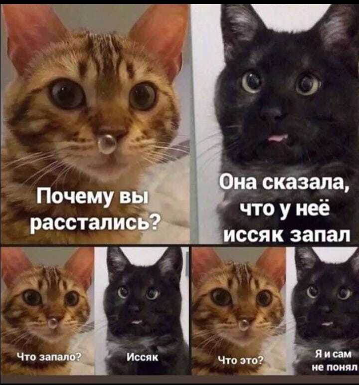 https://forumupload.ru/uploads/001c/6b/0d/11/832861.jpg