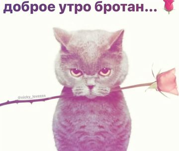 https://forumupload.ru/uploads/001c/6b/a8/2/t25914.png