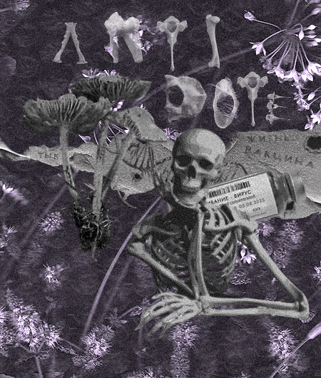 https://forumupload.ru/uploads/001c/6d/01/2/386379.png
