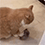 https://forumupload.ru/uploads/001c/70/51/3/272490.gif